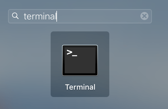 Launch app in terminal mac